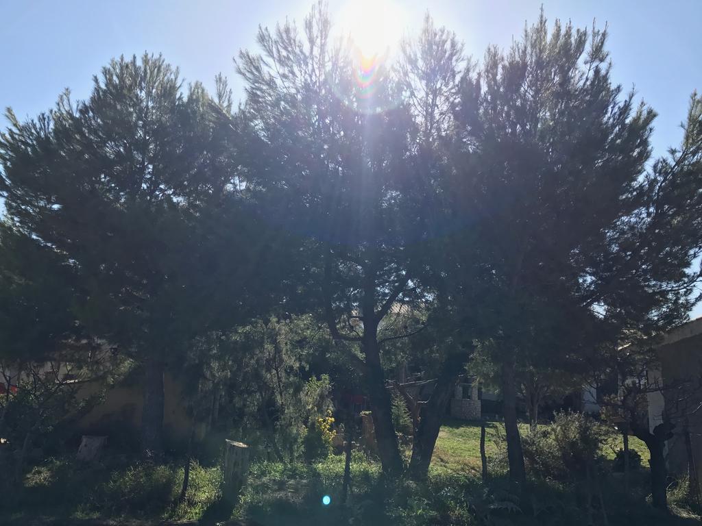 Casa Rural La Granja Letur Esterno foto