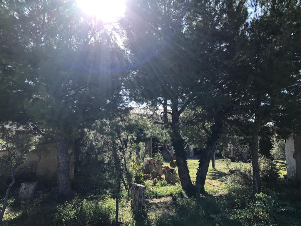 Casa Rural La Granja Letur Esterno foto